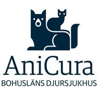 Anicura Bohusläns djursjukhus